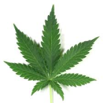 DROGAS