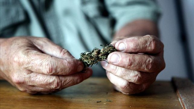 LEGALIDAD MARIUANA ESPAÑA
